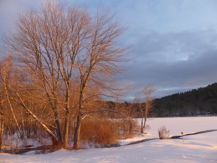 02-Y-AVA-Final-Randy-Thompson-Early-Morning-at-Lake-Massasecum,-Bradford.jpg